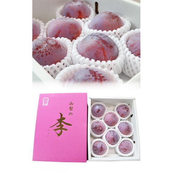 皇寿 こうじゅ 約1.8kg 6～8玉 極上プラム 化粧箱入り 山梨県産 贈答品 大玉中心 実測糖度17度以上！ 貴陽に似た新品種の完全完熟プラム 03
