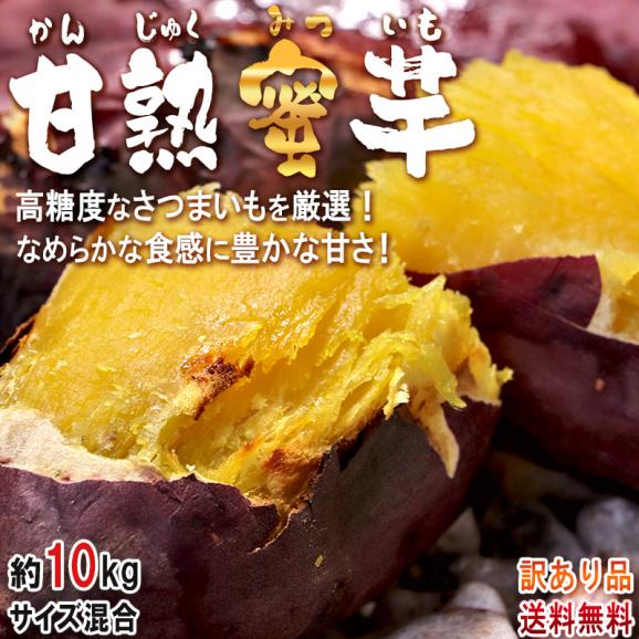 甘熟蜜いも シルクスイート・紅はるか等 さつまいも 約10kg 甘熟蜜いも シルクスイート・紅はるか等 さつまいも 約10kg