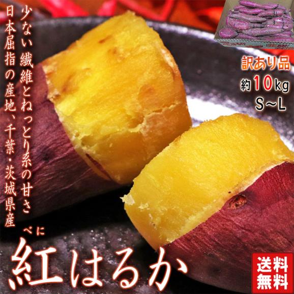 さつまいも 紅はるか 約10kg 千葉県・茨城県産 訳あり品 濃厚な さつまいも 紅はるか 約10kg 千葉県・茨城県産 訳あり品 濃厚な