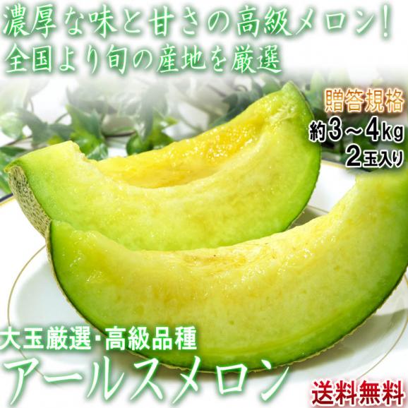 アールスメロン 約3～4kg 2玉入り 静岡・茨城・高知県産中心 青肉 贈答規格 別名マスクメロン！日本を代表する高級フルーツ02
