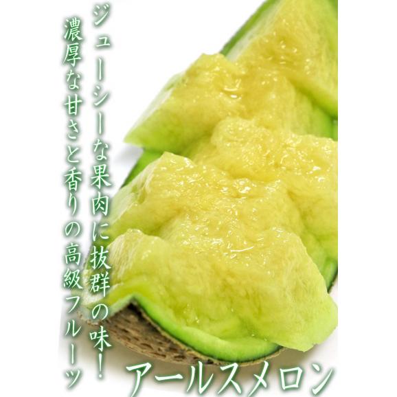 アールスメロン 約3～4kg 2玉入り 静岡・茨城・高知県産中心 青肉 贈答規格 別名マスクメロン！日本を代表する高級フルーツ03
