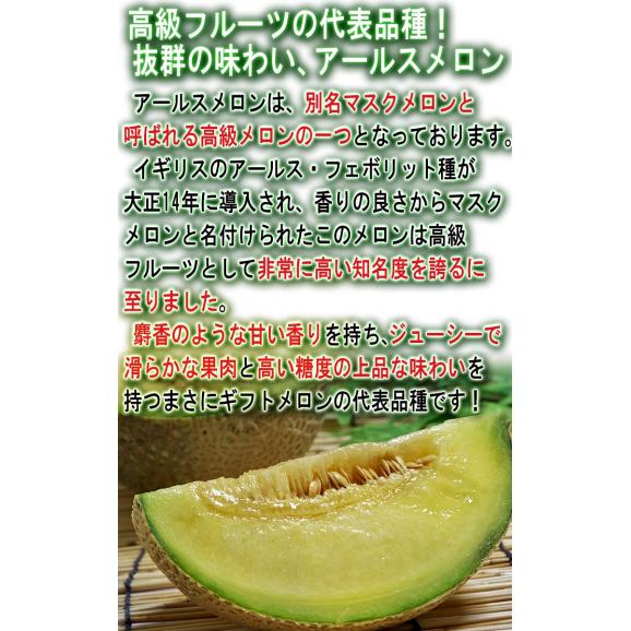 アールスメロン 約3～4kg 2玉入り 静岡・茨城・高知県産中心 青肉 贈答規格 別名マスクメロン！日本を代表する高級フルーツ04