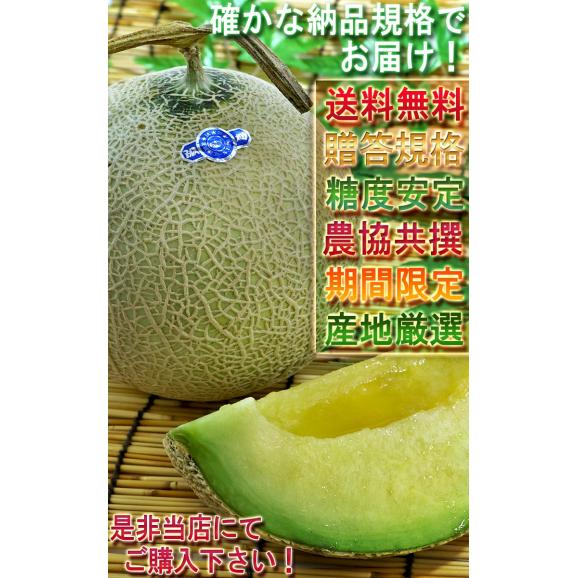 アールスメロン 約3～4kg 2玉入り 静岡・茨城・高知県産中心 青肉 贈答規格 別名マスクメロン！日本を代表する高級フルーツ05