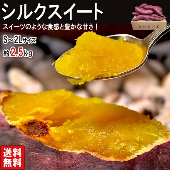 シルクスイート さつまいも 約2.5kg S～2Lサイズ 千葉県・茨城県産 訳あり品 熟成 滑らかな食感と溢れんばかりの甘さ！02
