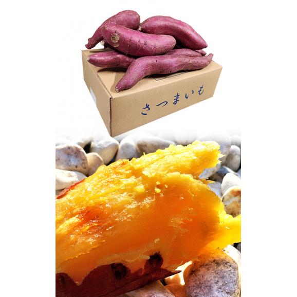 シルクスイート さつまいも 約2.5kg S～2Lサイズ 千葉県・茨城県産 訳あり品 熟成 滑らかな食感と溢れんばかりの甘さ！03
