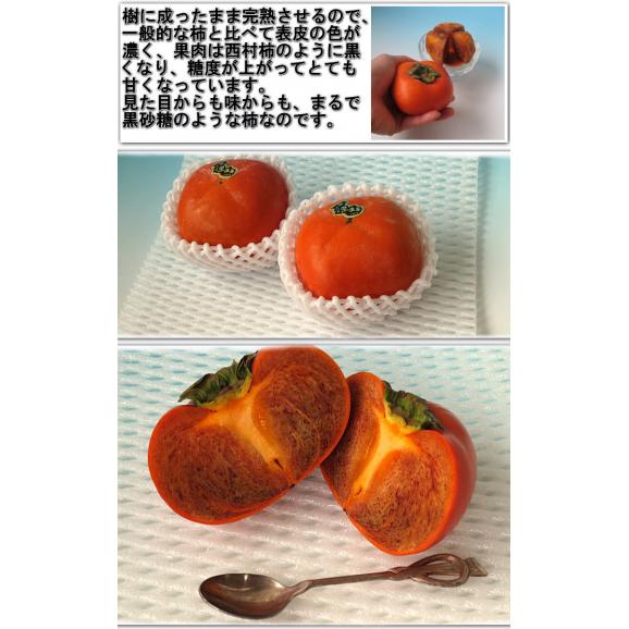 紀ノ川柿 たねなし柿 約1.5kg 5～8玉 和歌山県産 贈答規格 黒蜜を思わせる濃厚な甘さ！樹上完熟で抜群の味と栄養 種無し柿04