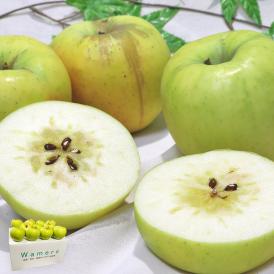 名月 蜜りんご めいげつ 約5kg 14～28玉 訳あり規格 小玉 青森県産 国内屈指のリンゴ産地で育てた抜群の味！甘み豊かな幻の林檎