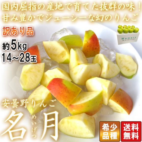 名月 蜜りんご めいげつ 約5kg 14～28玉 訳あり規格 小玉 青森県産 国内屈指のリンゴ産地で育てた抜群の味！甘み豊かな幻の林檎02