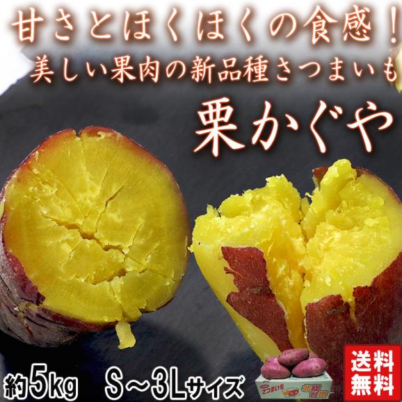 栗かぐや さつまいも 約5kg S～3Lサイズ 千葉県産 大きめサイズ中心 美しい黄色の果肉にほくほく食感の次世代薩摩芋！  サツマイモ02
