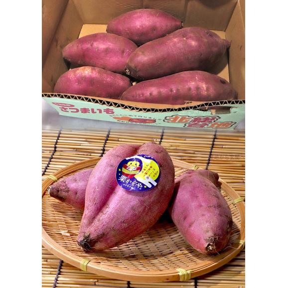 栗かぐや さつまいも 約5kg S～3Lサイズ 千葉県産 大きめサイズ中心 美しい黄色の果肉にほくほく食感の次世代薩摩芋！  サツマイモ03
