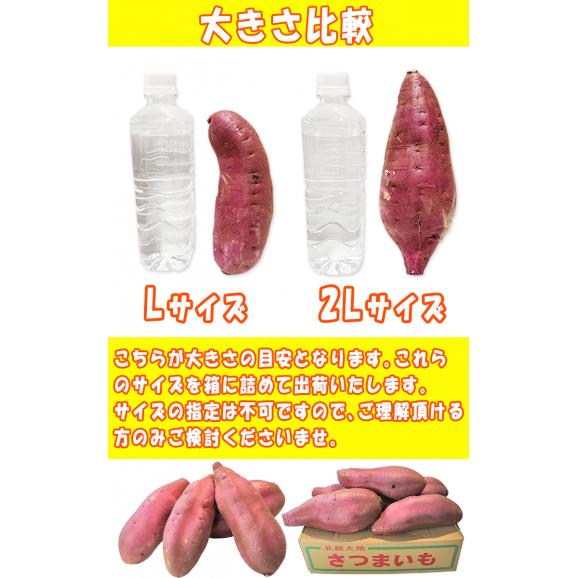 栗かぐや さつまいも 約5kg S～3Lサイズ 千葉県産 大きめサイズ中心 美しい黄色の果肉にほくほく食感の次世代薩摩芋！  サツマイモ05