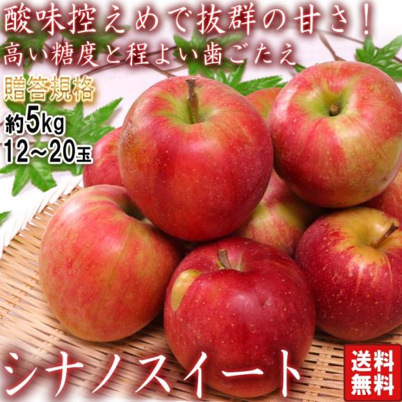 シナノスイート 赤りんご 約5kg 12～20玉 岩手県・山形県産中心 贈答規格 強い甘みと控えめな酸味の林檎！味と食感の人気品種02