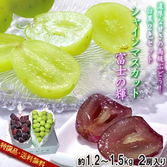 葡萄2色セット 富士の輝・シャインマスカット 約1.2～1.5kg 2房 山梨県産中心 贈答規格 濃厚な甘さと食べやすさの次世代ブドウ！ ギフト最適な希少品種02