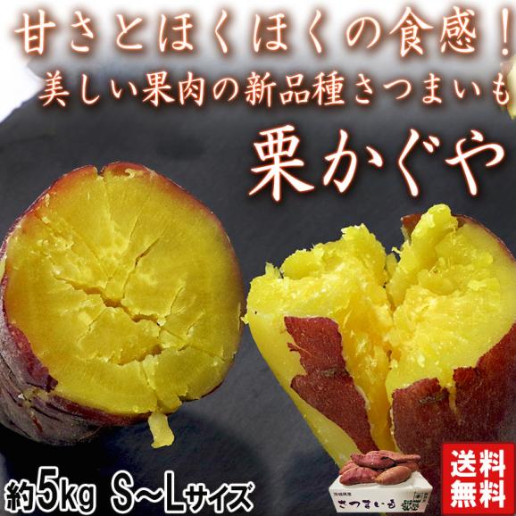 栗かぐや さつまいも 約5kg S～Lサイズ 千葉県産・茨城県産 美しい黄色の果肉にほくほくの食感！甘み豊かな新品種の薩摩芋02