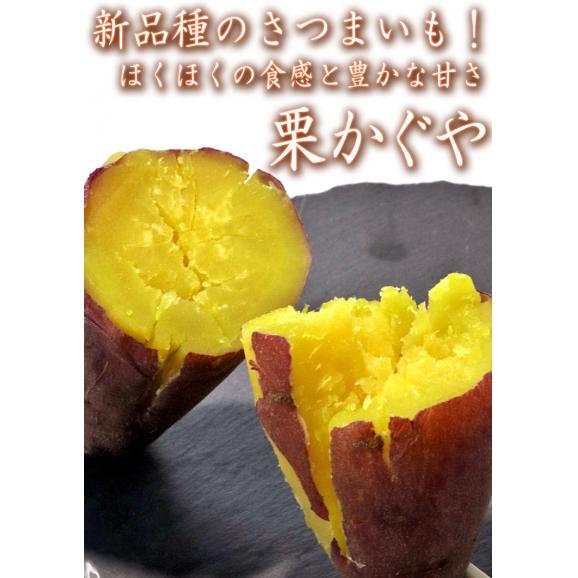 栗かぐや さつまいも 約5kg S～Lサイズ 千葉県産・茨城県産 美しい黄色の果肉にほくほくの食感！甘み豊かな新品種の薩摩芋03