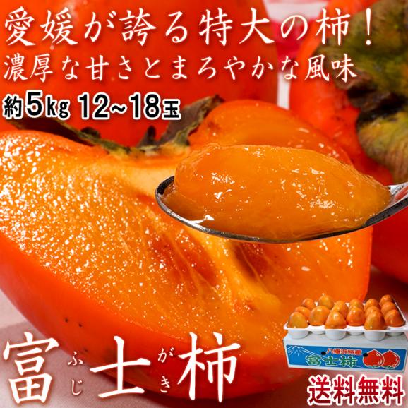 富士柿 ふじがき 約5kg 12～18玉 大玉限定 愛媛県産 優品中心 えひめ特産のフルーツ！特大の果実にまろやかな甘さ02