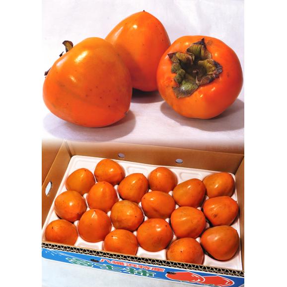 富士柿 ふじがき 約5kg 12～18玉 大玉限定 愛媛県産 優品中心 えひめ特産のフルーツ！特大の果実にまろやかな甘さ04