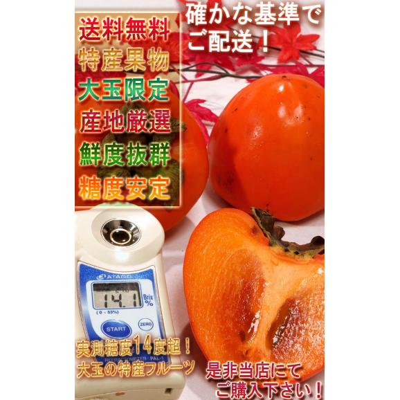 富士柿 ふじがき 約5kg 12～18玉 大玉限定 愛媛県産 優品中心 えひめ特産のフルーツ！特大の果実にまろやかな甘さ05