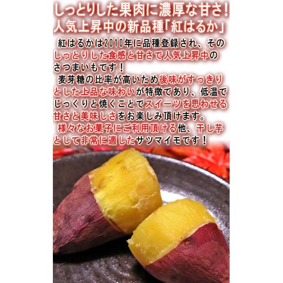 【秀品】紅はるか 約2.5kg 千葉県・茨城県産 ダントツの甘さを誇る紅はるか！ ギフトや贈答品にもオススメな見栄えの良い薩摩芋をお届け！ さつまいも 04