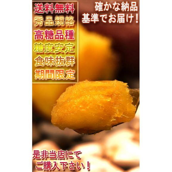 【秀品】紅はるか 約2.5kg 千葉県・茨城県産 ダントツの甘さを誇る紅はるか！ ギフトや贈答品にもオススメな見栄えの良い薩摩芋をお届け！ さつまいも 05