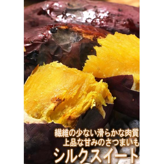 【秀品】シルクスイート さつまいも 約2.5kg S～2L 千葉県・茨城県産 ギフトや贈答品にもオススメな見栄えの良い物をお届け！ 滑らかな食感と溢れる甘さの新品種！04