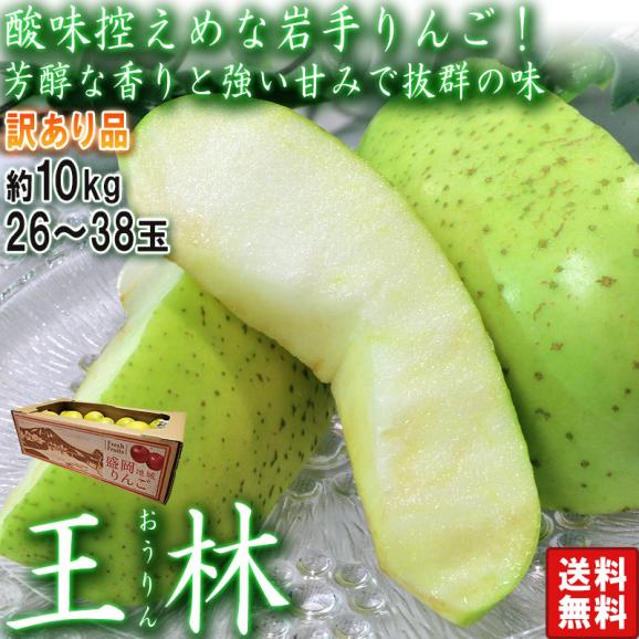 王林 おうりん 青りんご 約10kg 26～38玉 訳あり規格 岩手県産