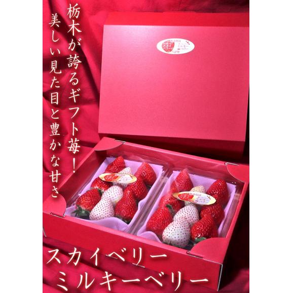 紅白いちごセット スカイベリー・ミルキーベリー 約300g×2パック