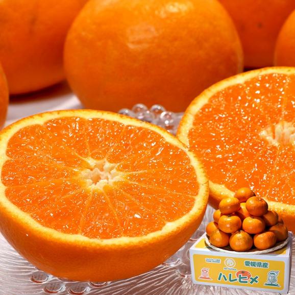 はれひめ 約5kg M~2Lサイズ 愛媛県産 訳あり品 個人農家産 オレンジの香りに蜜柑の味わい!食べやすい旬のえひめフルーツ02