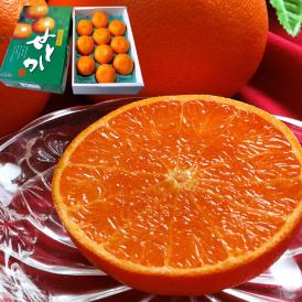せとか 温室栽培 約3kg 8～12玉入り 佐賀県産 贈答品 化粧箱入り 高級タンゴールの代表品種！とろけるような果肉と濃厚な甘みの柑橘