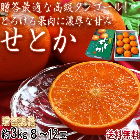 せとか 温室栽培 約3kg 8～12玉入り 佐賀県産 贈答品 化粧箱入り 高級タンゴールの代表品種！とろけるような果肉と濃厚な甘みの柑橘02