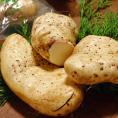 大和芋 やまといも 約2kg 訳あり品 サイズ混合 千葉県産 国産野菜 お求めやすい家庭用の山芋！とろろ蕎麦やご飯に最適な圧倒的粘り 成田 香取 多古