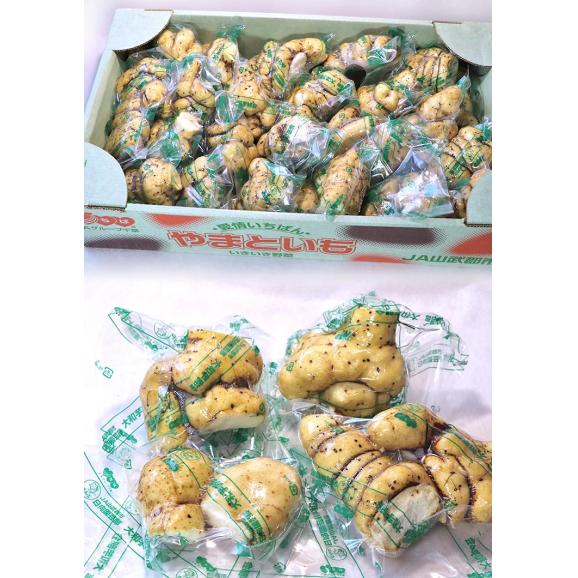 大和芋 やまといも 約2kg 訳あり品 サイズ混合 千葉県産 国産野菜 お求めやすい家庭用の山芋！とろろ蕎麦やご飯に最適な圧倒的粘り 成田 香取 多古05