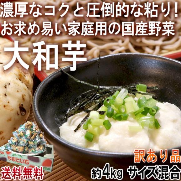 大和芋 やまといも 約4kg サイズ混合 千葉県産 国産野菜 お求めやすい家庭用の山芋！とろろ蕎麦やご飯に最適な圧倒的粘り02