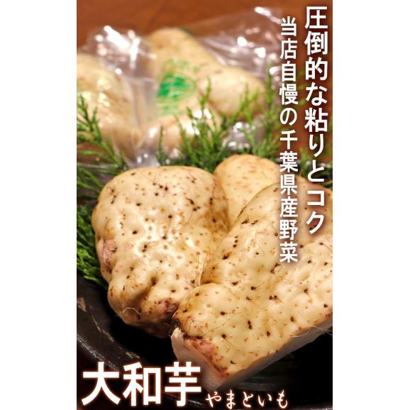 大和芋 やまといも 約4kg サイズ混合 千葉県産 国産野菜 お求めやすい家庭用の山芋！とろろ蕎麦やご飯に最適な圧倒的粘り03