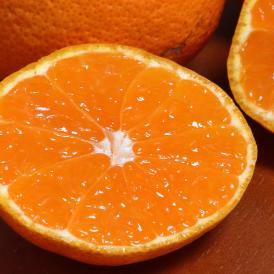 極まろ蜜柑 温州みかん 約3kg M～2Lサイズ 熊本県産 大玉サイズ お手頃価格のお試しサイズ！個人農家で育てた旬のフルーツ