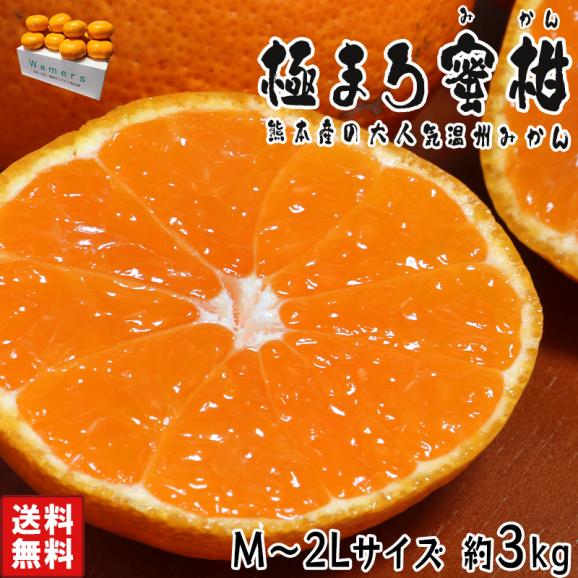 極まろ蜜柑 温州みかん 約3kg M~2Lサイズ 熊本県産 大玉サイズ お手頃価格のお試しサイズ!個人農家で育てた旬のフルーツ02