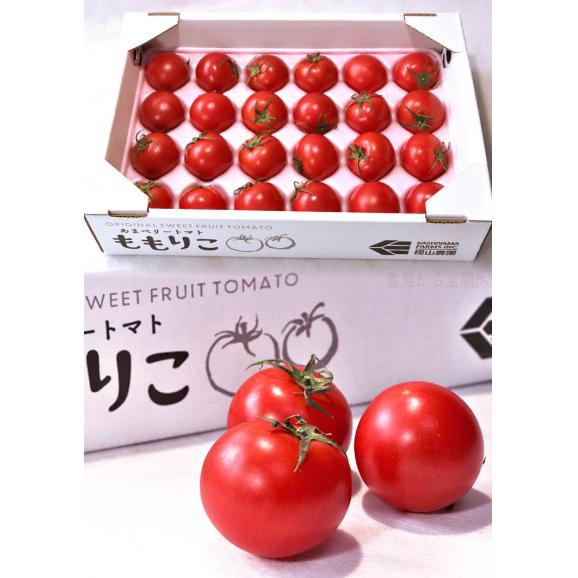 ももりこトマト 特選 約1kg 15~24玉 徳島県産 樫山農園 糖度8度以上保証のブランド野菜!こだわり栽培で甘さと旨味たっぷりのフルーツトマト!03