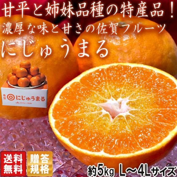 にじゅうまる 約5kg L～4Lサイズ 佐賀県産 贈答規格 甘平と姉妹品種の特産品フルーツ！プチっとした食感に濃厚な味と甘さ02