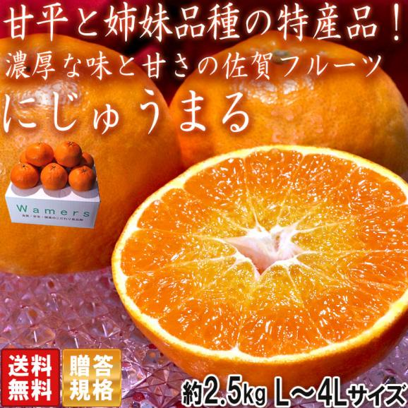 にじゅうまる 約2.5kg L～4Lサイズ 佐賀県産 贈答規格 甘平と姉妹品種の特産品フルーツ！プチっとした食感に濃厚な味と甘さ02