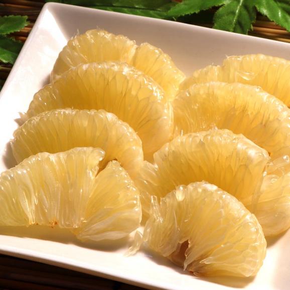 パール柑 大橘 約5kg 16～24玉 熊本県産 訳あり品 個人農家産