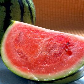 温室スイカ 赤肉西瓜 約3～4kg 1玉 熊本県産 贈答規格 生産量日本一の大産地、熊本で育てた抜群の味！甘さと食感の美味しいギフトすいか