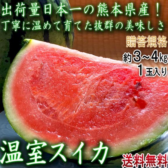 温室スイカ 赤肉西瓜 約3～4kg 1玉 熊本県産 贈答規格 生産量日本一の大産地、熊本で育てた抜群の味！甘さと食感の美味しいギフトすいか02