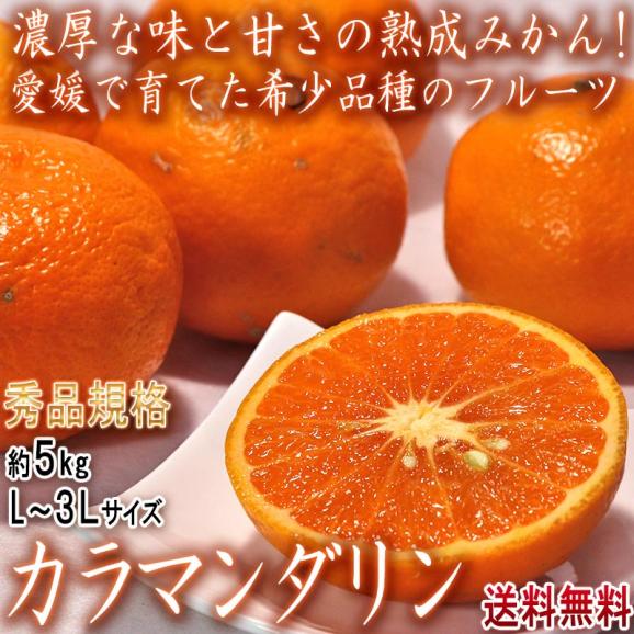 ◆ みかん カラマンダリン 温州みかん 約5kg L~3Lサイズ 愛媛県産 秀品