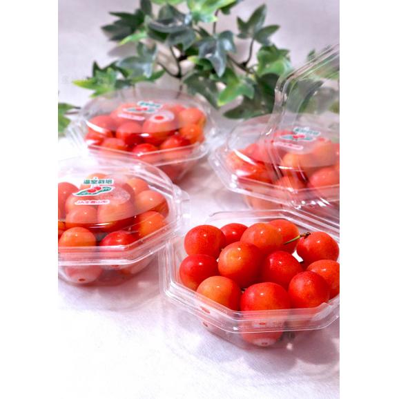 紅秀峰 さくらんぼ 約100g×4パック L～2Lサイズ 山形県産 贈答規格 特秀品～秀品 ダイヤモンドパック 高い糖度と控えめな酸味のギフトフルーツ！04