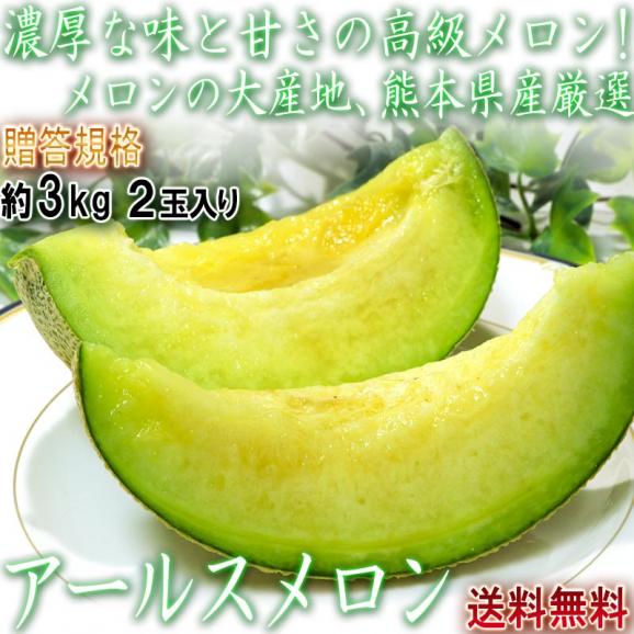 アールスメロン 青肉メロン 約3kg 2玉 熊本県産 贈答品 マスクメロンと同一品種 長年親しまれた抜群の味！温室で丁寧に育てたギフト果物02