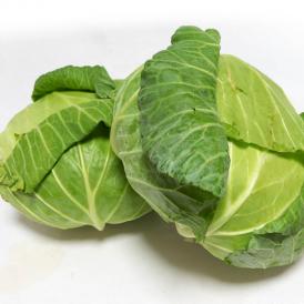 キャベツ 約11～12kg 5～8玉 千葉県産 JA共撰品 特大サイズ厳選！厳選産地で育てた新鮮な美味しさ