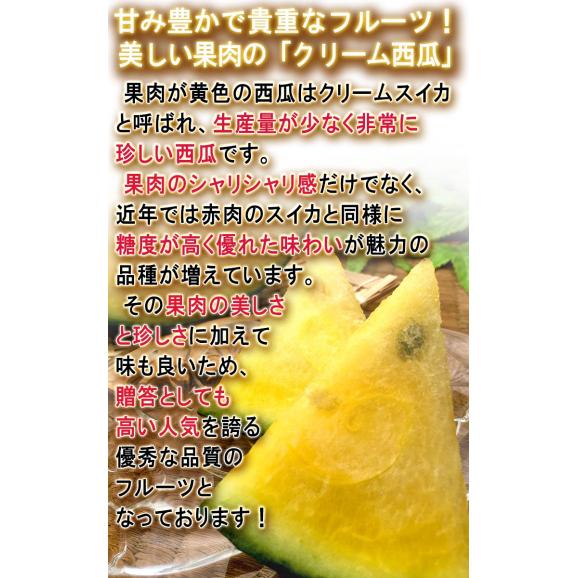黒皮クリームスイカ 約9～12kg 1玉入り 贈答規格 千葉県産 4～6Lサイズ お中元に人気の希少な西瓜！黄色スイカの本場で育てた上品な甘さとシャリシャリの食感04