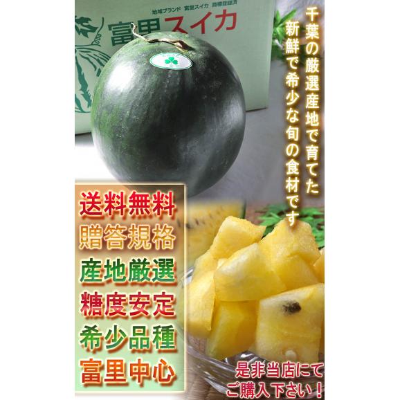 黒皮クリームスイカ 約9～12kg 1玉入り 贈答規格 千葉県産 4～6Lサイズ お中元に人気の希少な西瓜！黄色スイカの本場で育てた上品な甘さとシャリシャリの食感05