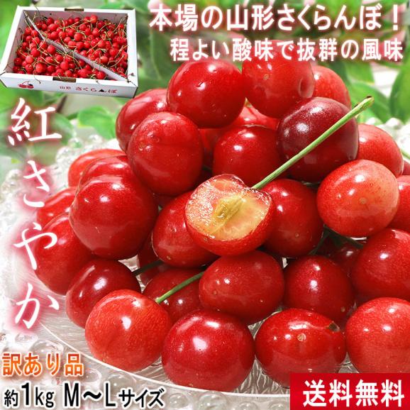 紅さやか さくらんぼ 約1kg M～Lサイズ 山形県産 訳あり品 程よい酸味で爽やかな味わい！02