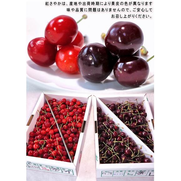 芸能人愛用のルームウェア 紅さやか 訳あり品 山形県産 M～Lサイズ 約1kg さくらんぼ 果物
